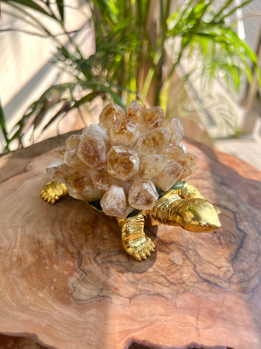 Citrine Turtle