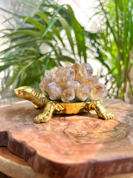 Citrine Turtle